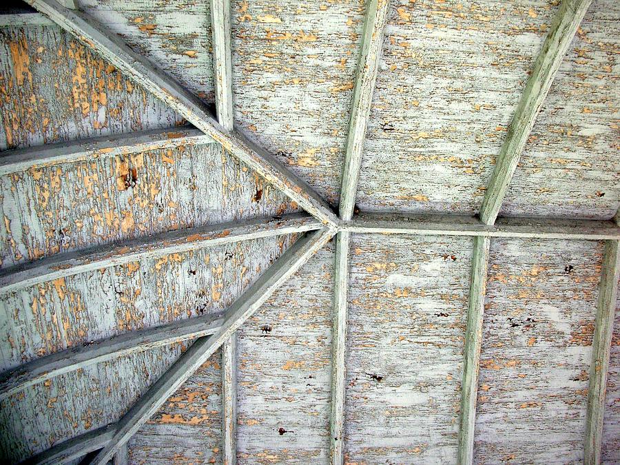 Vaulted Photograph by Liza Dey