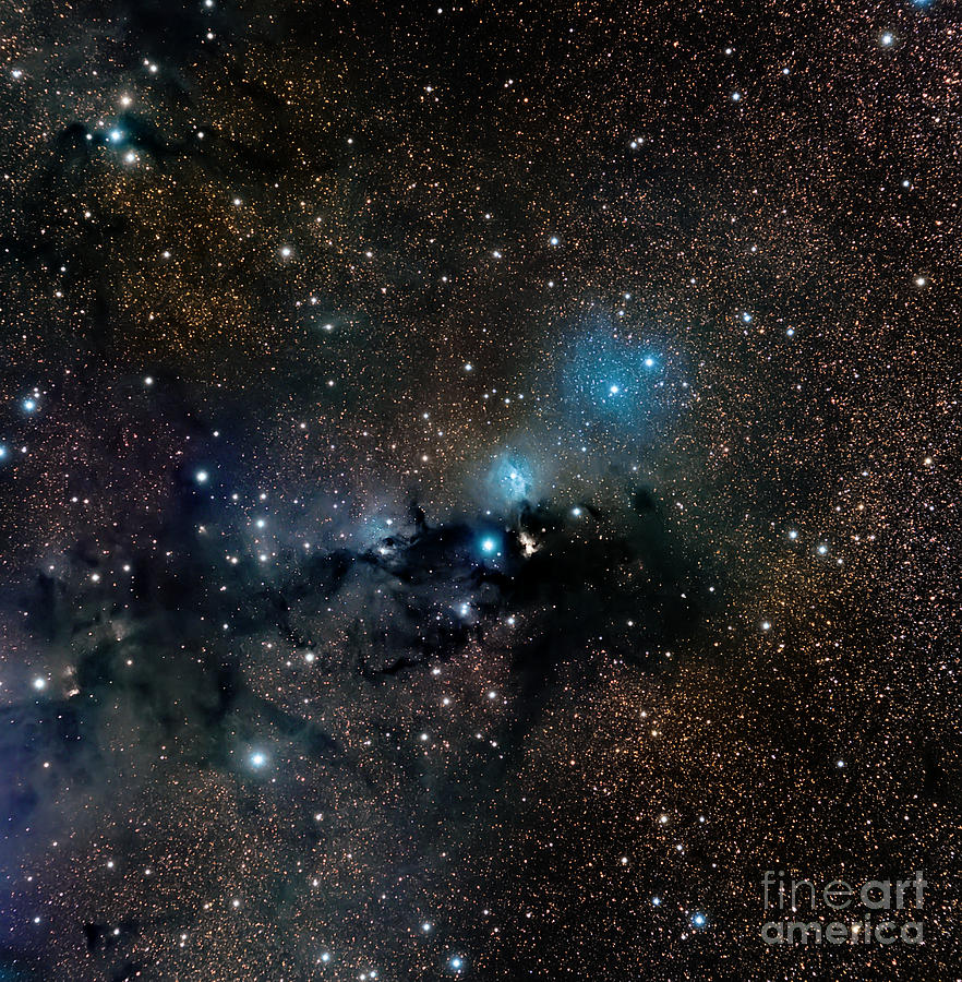 Vdb 123 Reflection Nebula Photograph by Michael Miller