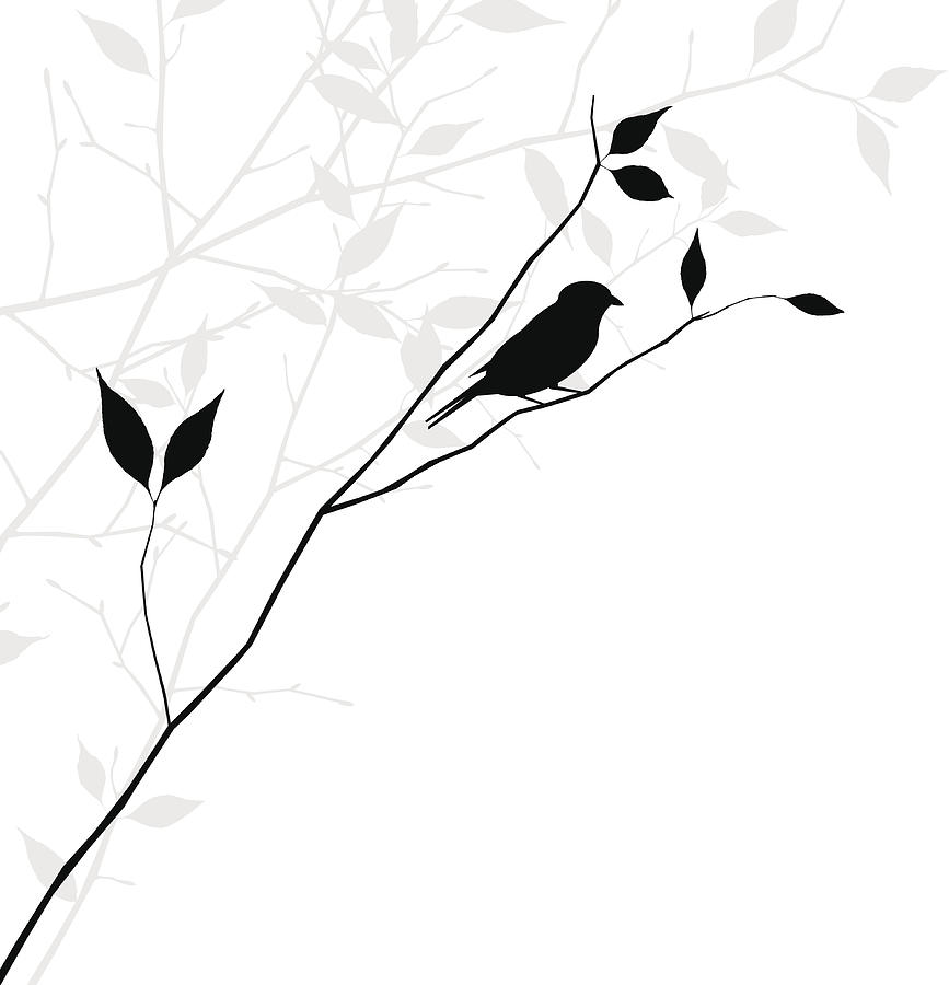 Vector Bird On Branch Illustration Drawing by Mysondanube