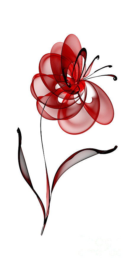 Vector Flower Right Digital Art by Ann Garrett