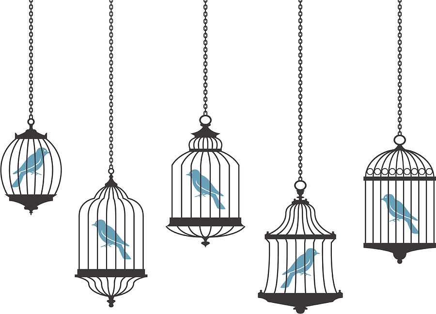 Vector graphics of birds in hanging cages Drawing by VladSt