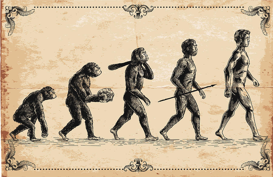 Vector of human evolution concept Drawing by Man_Half-tube