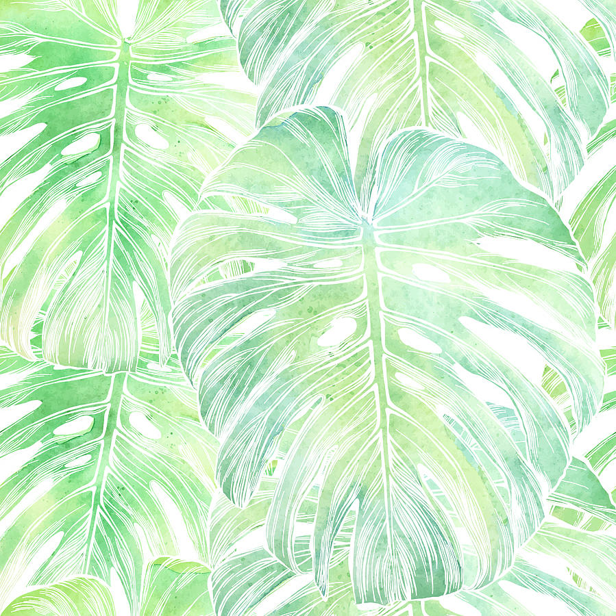 Vector Philodendron Leaf Seamless Pattern in Watercolor Isolated on White Drawing by Andrea_Hill