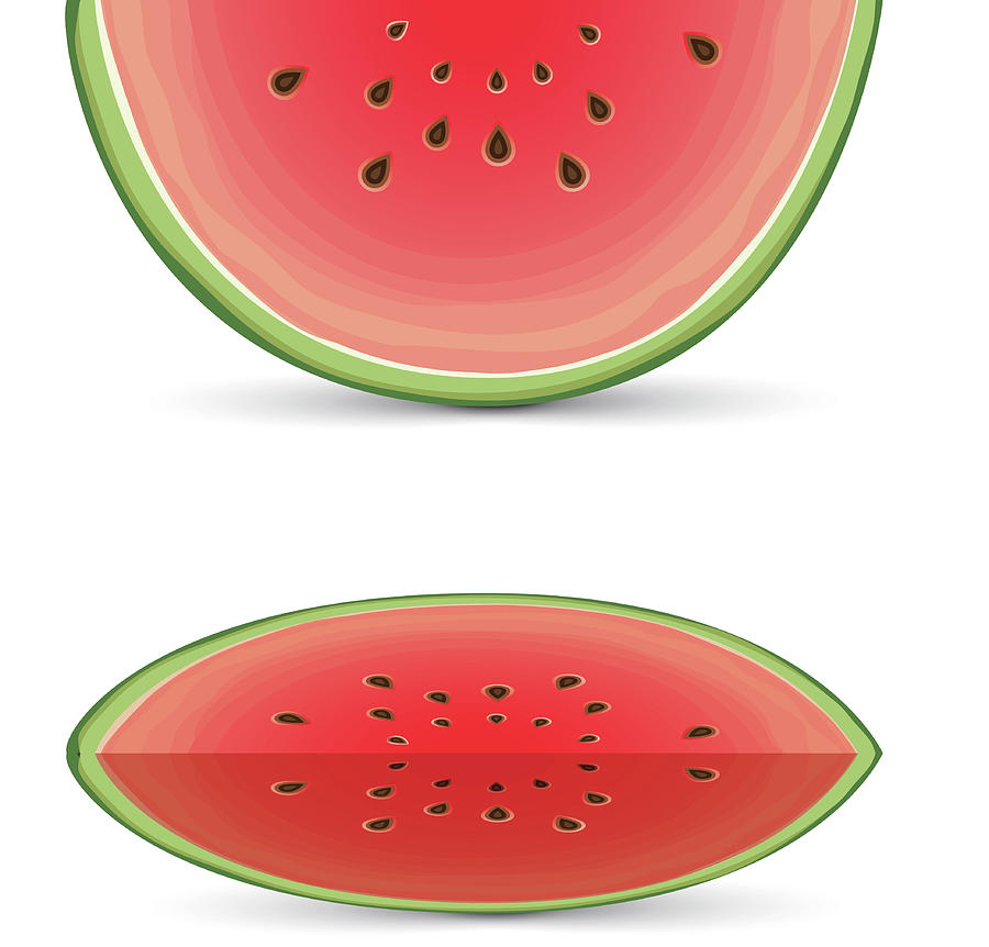 Vector Watermelon Slice Digital Art by Fitie