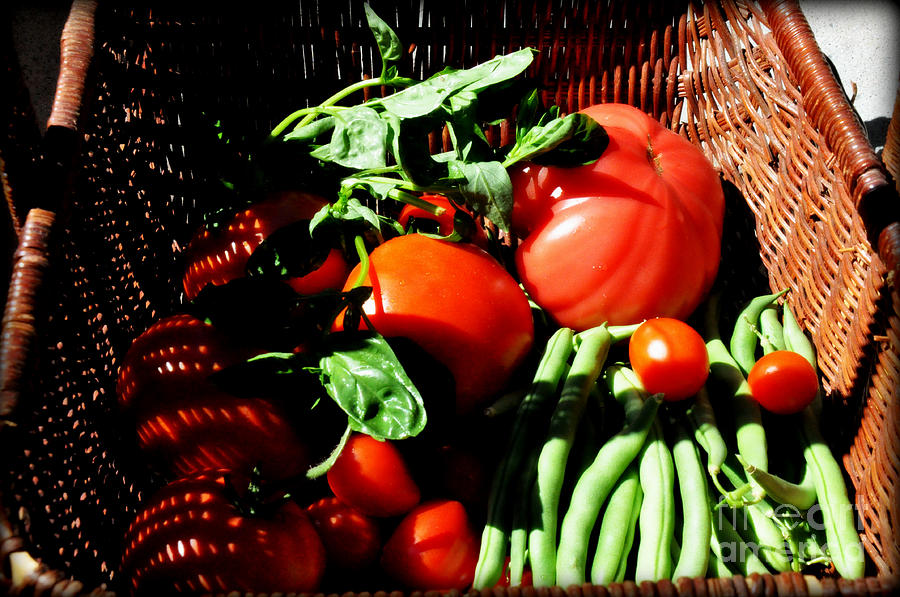 Vegetable Basket Photograph by Tatyana Searcy