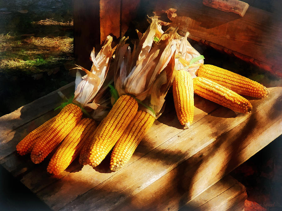 Summer Photograph - Vegetable - Corn on the Cob at Outdoor Market by Susan Savad