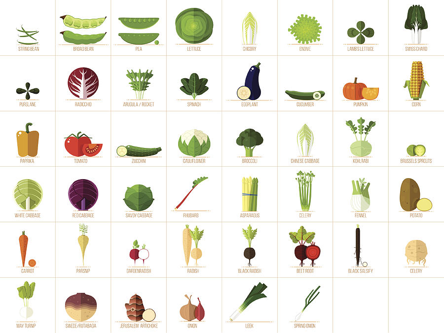 Vegetable Icons Drawing by Tareo81