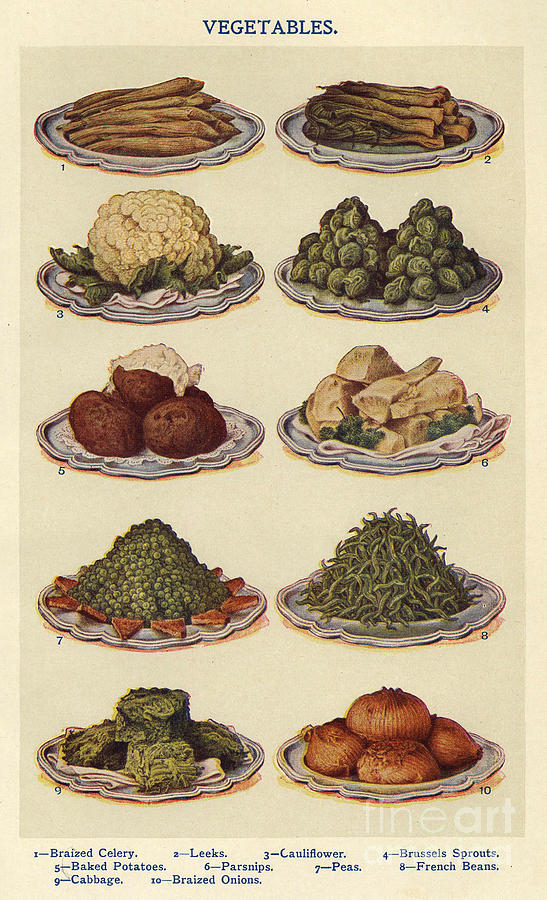 Book Drawing - Vegetables  1900s Uk Isabella Beeton by The Advertising Archives