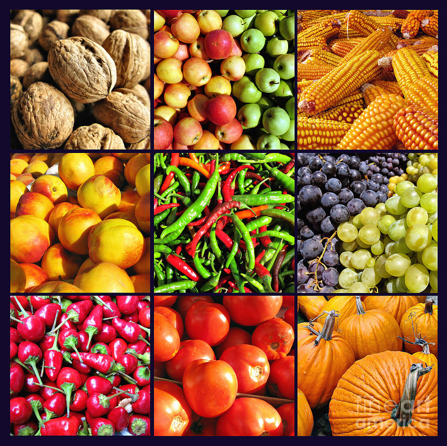 Vegetables and Fruit Collage Photograph by Daliana Pacuraru