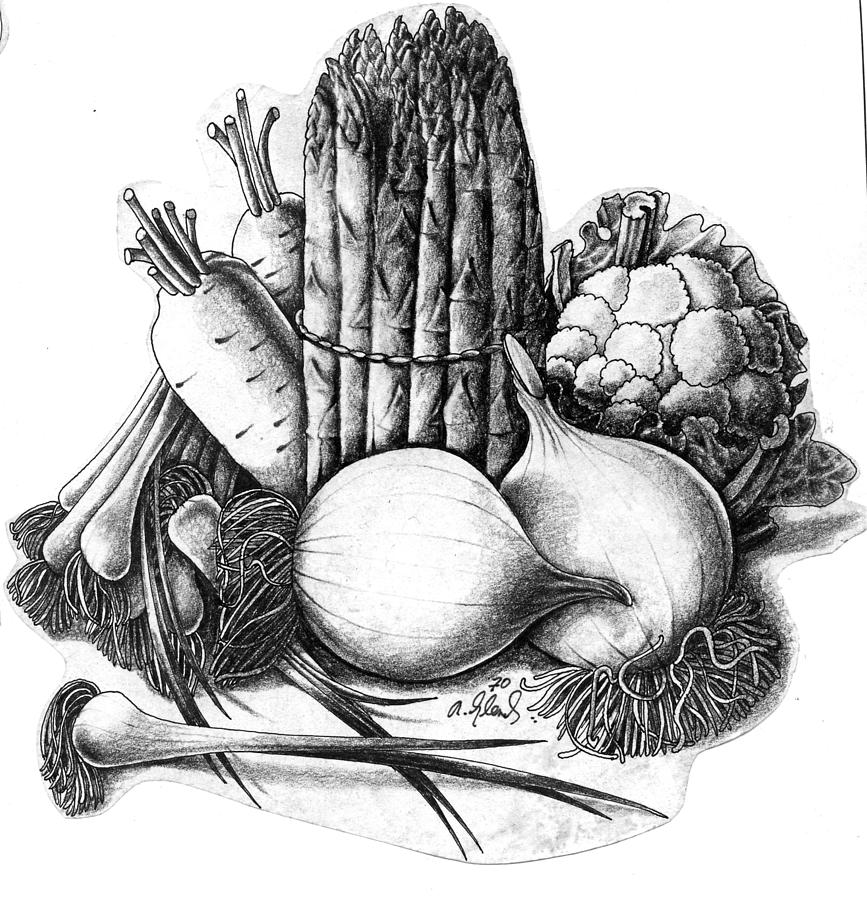 Vegetable Drawing - Vegetables by Arthur Glendinning