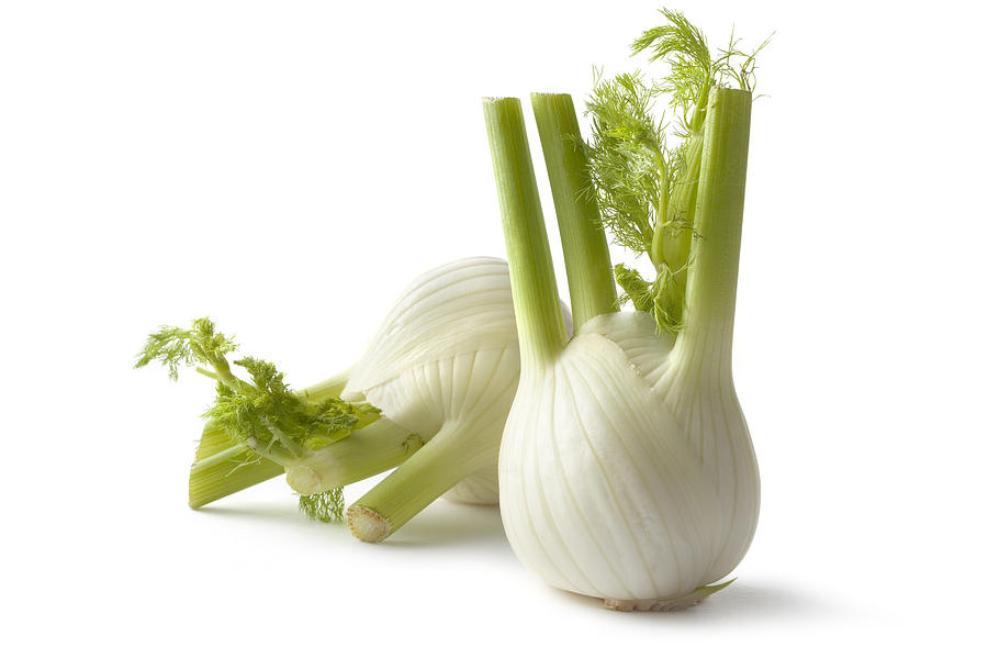 Vegetables: Fennel Isolated on White Background Photograph by Floortje Vegetables: Fennel Isolated on White Background Photograph by Floortje