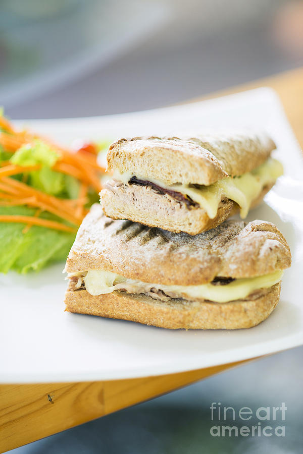 Vegetarian Tuna And Cheese Toasted Baguette Sandwich Photograph by JM Travel Photography
