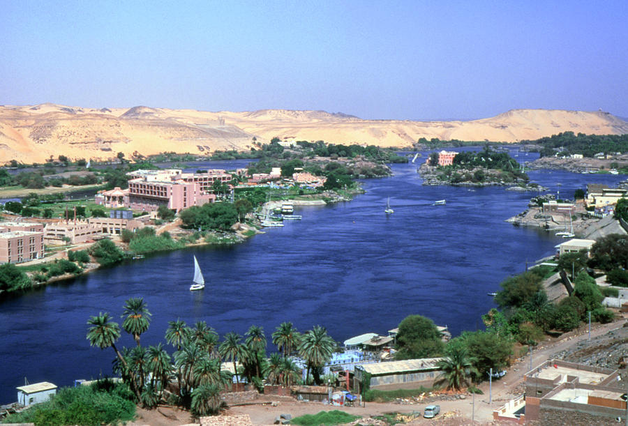 Vegetation Growing Along The Banks Of The Nile Photograph by Adam Hart ...