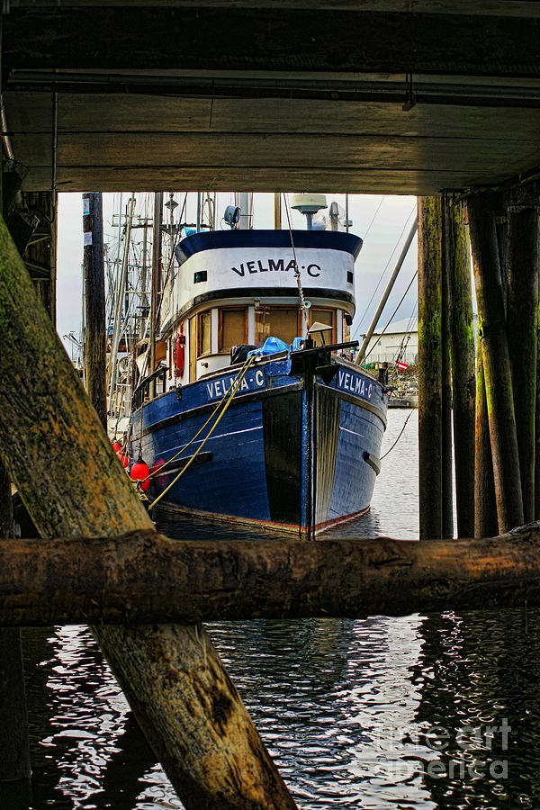 Velmac thru the Pier Photograph by Randy Harris