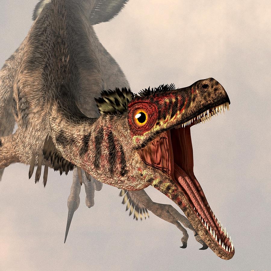 Dinosaur Digital Art - Velociraptor  by Daniel Eskridge