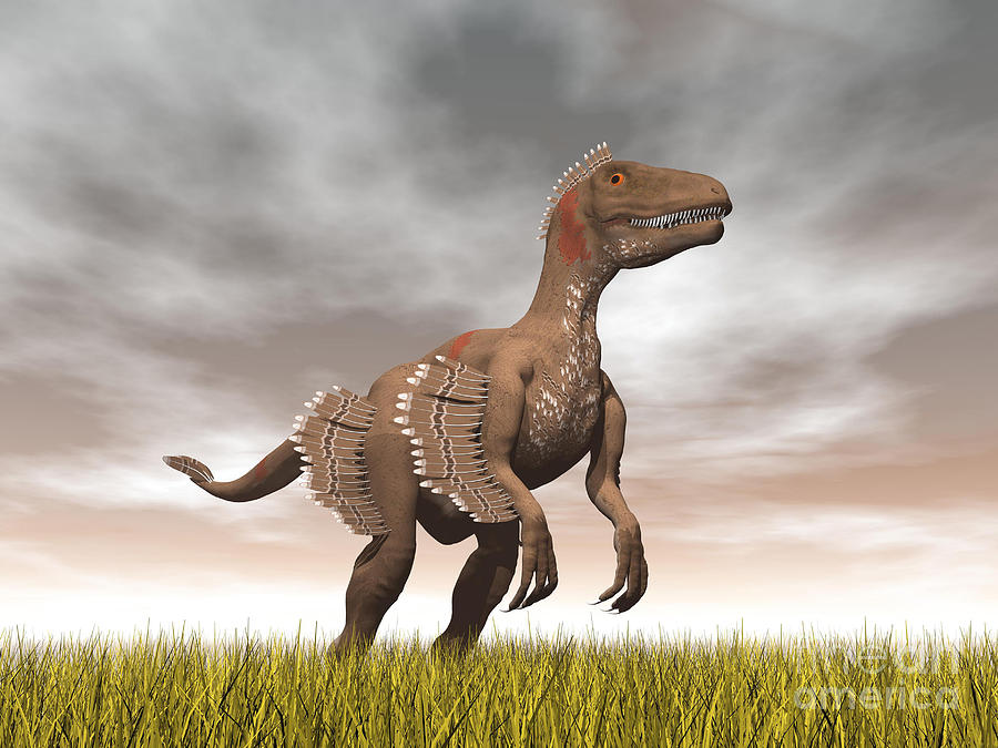 Dinosaur Digital Art - Velociraptor Dinosaur Standing by Elena Duvernay