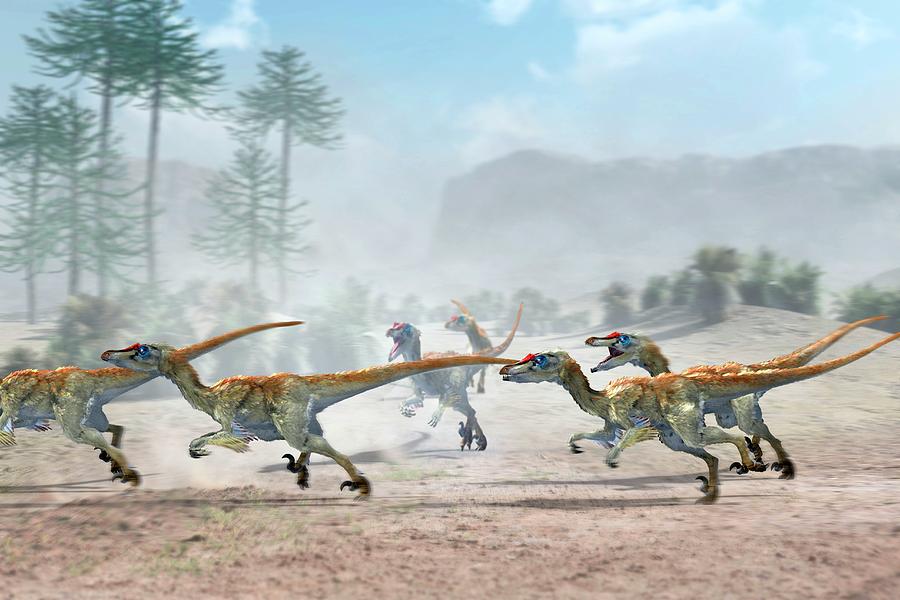 Velociraptor Dinosaurs Photograph by Jose Antonio PeÑas