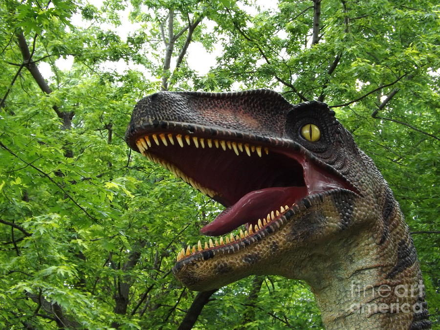 Velociraptor Photograph - Velociraptor  by Gerald Strine