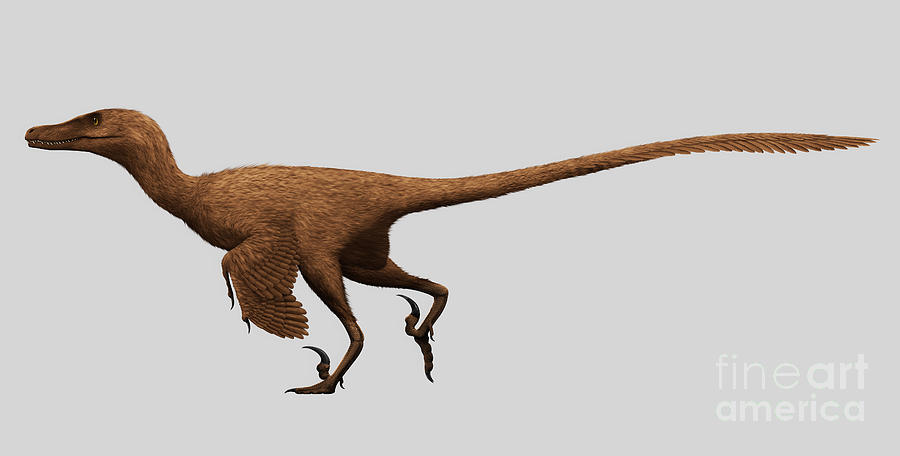 Velociraptor Mongoliensis Digital Art
