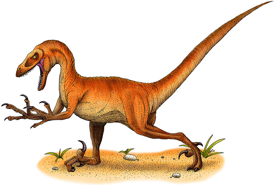 Prehistoric Photograph - Velociraptor by Roger Hall