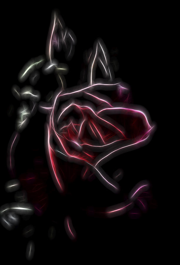 Velvet Rose 2 Digital Art by William Horden