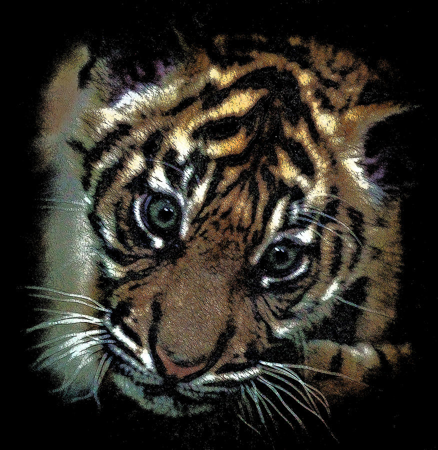 Velvet Tiger Cub Photograph by Athena Mckinzie