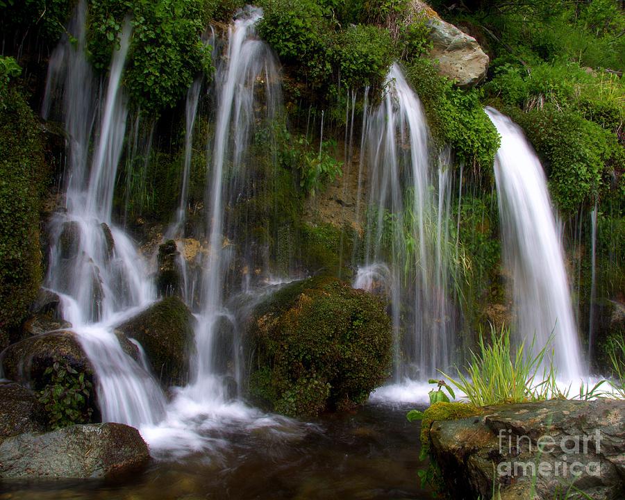Velvety Sierra Stream Falls Photograph by Patrick Witz