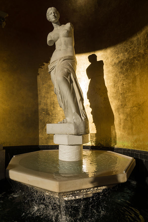 Fountain Photograph - Venera and Her Shadow by Georgia Mizuleva