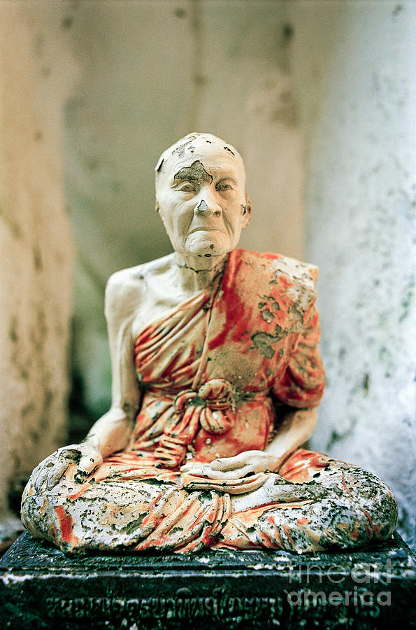 Venerable Old Buddhist Monk Photograph by Dean Harte