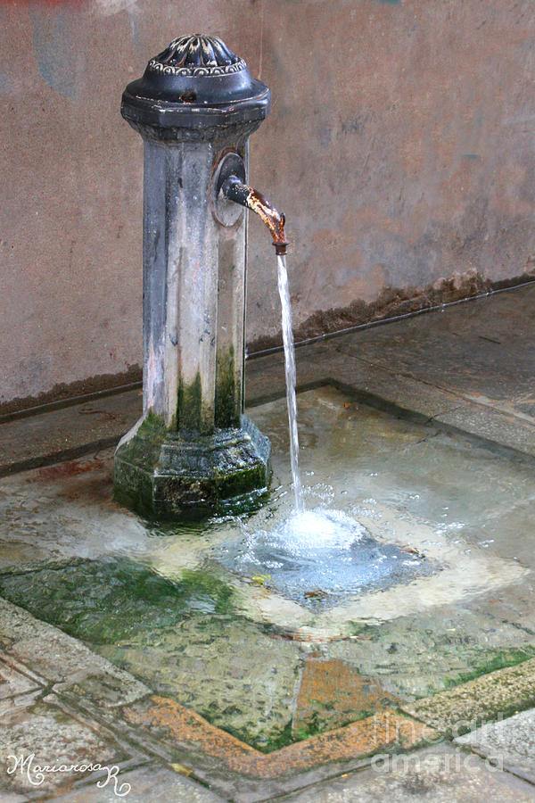Venetian Water Fountain Photograph by Mariarosa Rockefeller