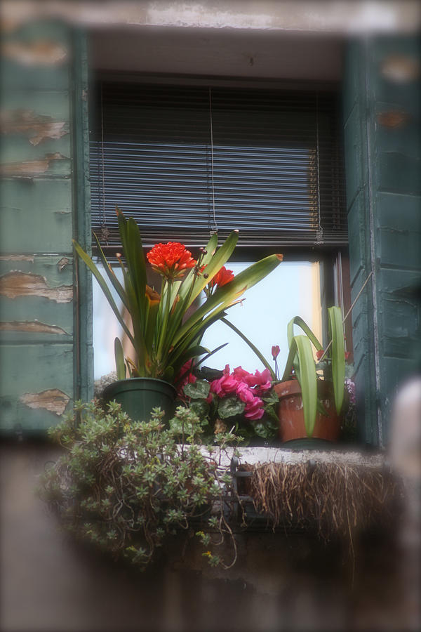 Venetian Window Photograph - Venetian Window by Ave Guevara Venetian Window Photograph - Venetian Window by Ave Guevara