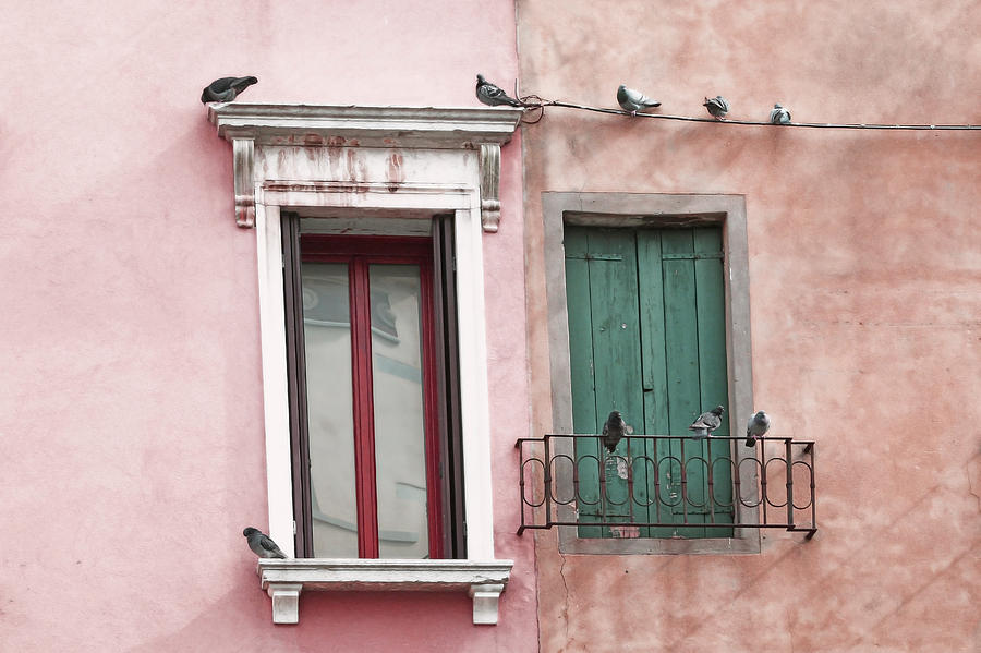 Venetian Windows and Pigeons  Photograph by Brooke T Ryan