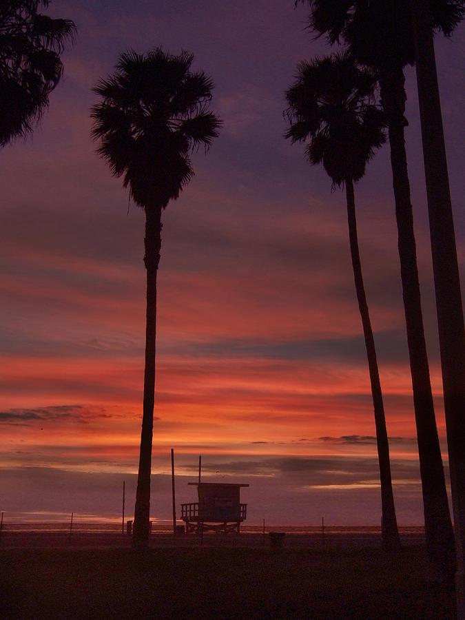 Venice Beach Sunset Photograph by Steve Ondrus