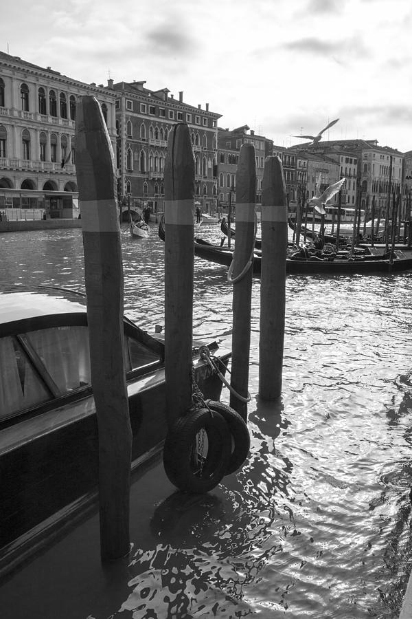 Venice Canal Dock Photograph by Sonny Marcyan