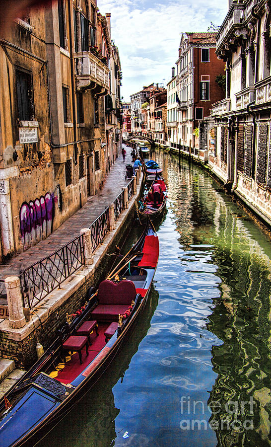 Venice Cityscape Photograph by Shirley Mangini
