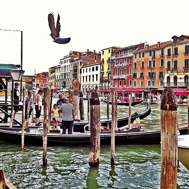 Wanderlust Photograph - Venice #flashbackfriday #italy #venice by Joseph Diaz
