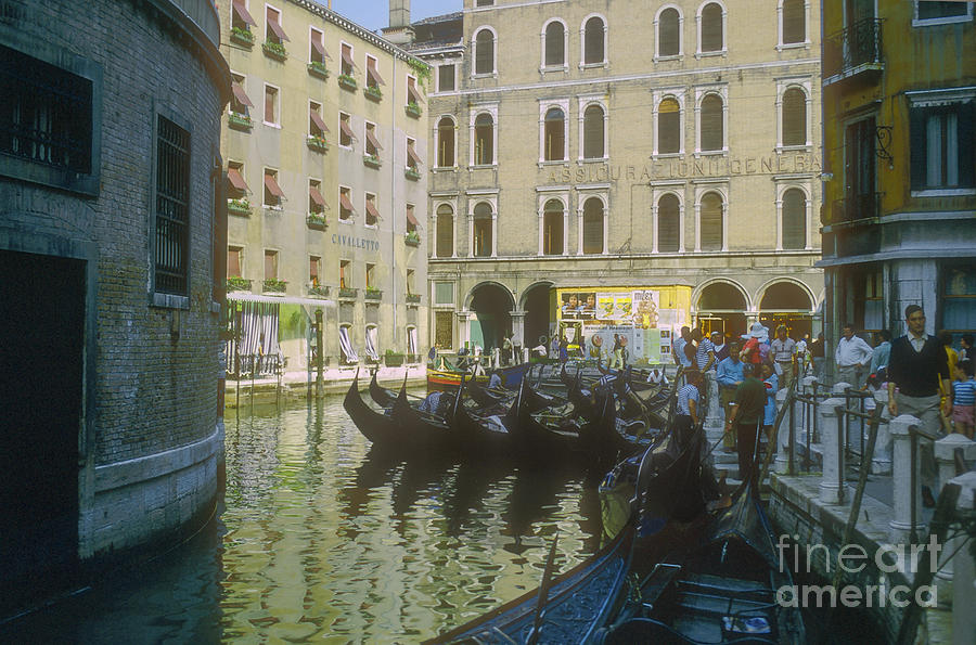 Venice Gondolas Photograph by Bob Phillips
