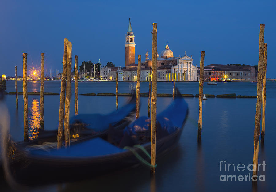 Venice Gondolas Photograph by David Lichtneker