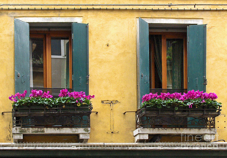 Venice Italy Teal Shutters Photograph by Robyn Saunders