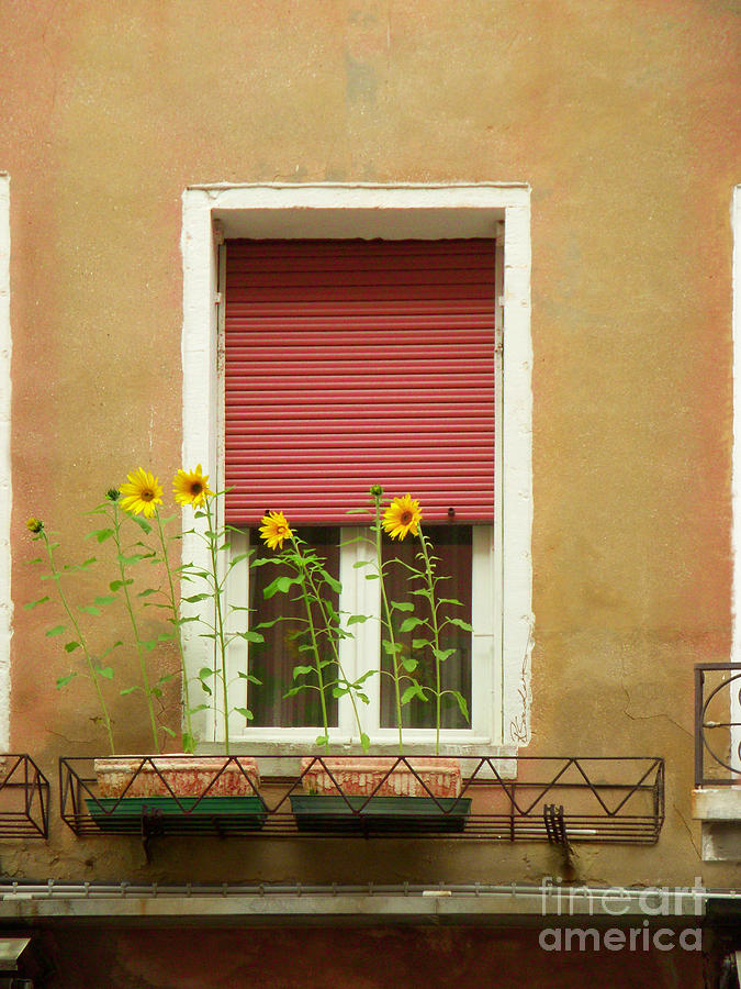Venice Italy Yellow Flowers Red Shutter Painting by Robyn Saunders