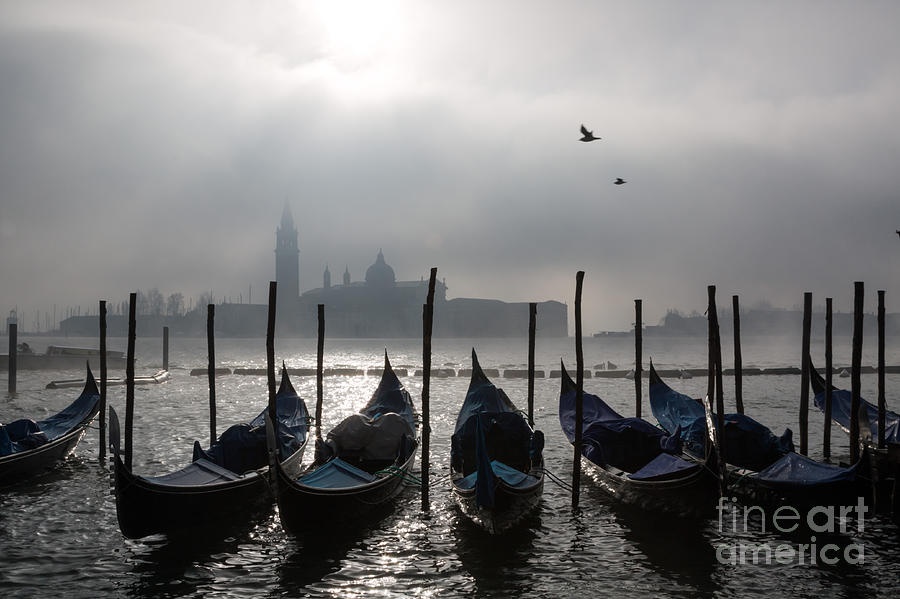 Venice mist    ery Photograph by Matteo Colombo