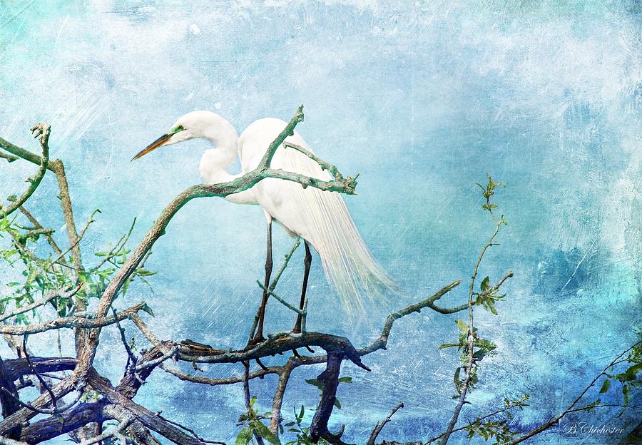Venice Rookery Egret Painting by Barbara Chichester