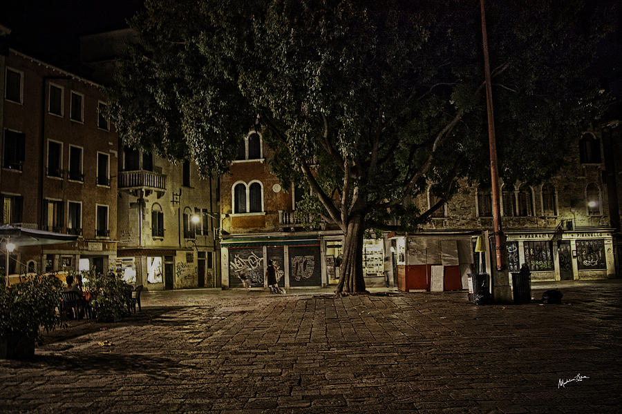 Venice Square at Night Photograph by Madeline Ellis