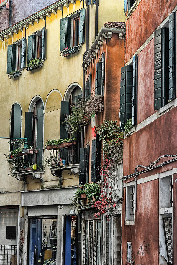 Windows in Venice  Photograph by Tom Prendergast
