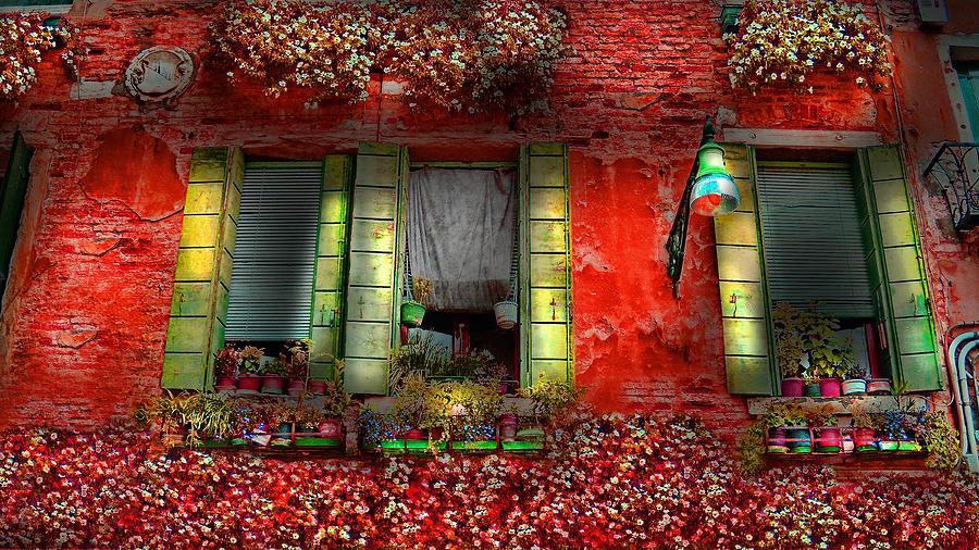 Flowers Still Life Digital Art - Venice Windows by Cary Shapiro