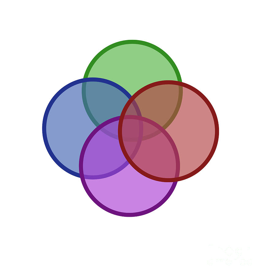 Circle Photograph - Venn Diagram Of Intersecting Circles by Gwen Shockey