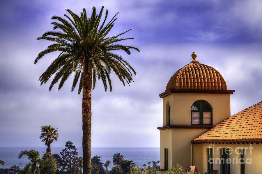 Ventura Palms Photograph by David Millenheft