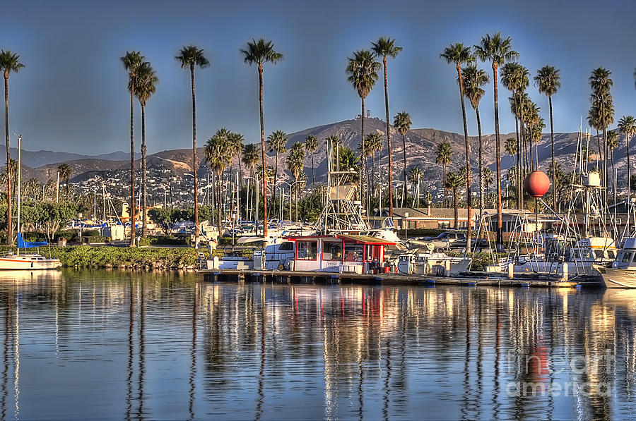 Ventura scene with palm trees Photograph by Dan Friend