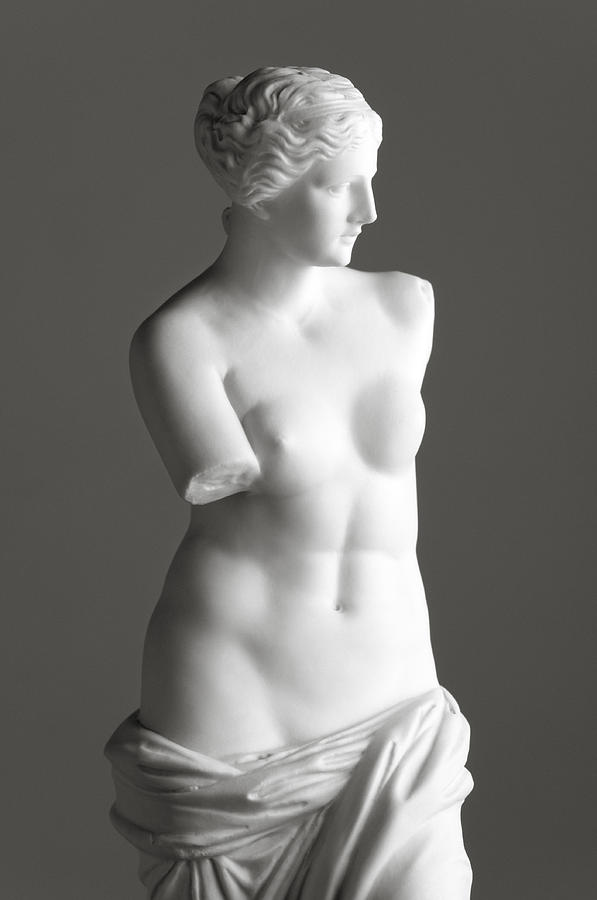 Venus de Milo on grey Photograph by 221a