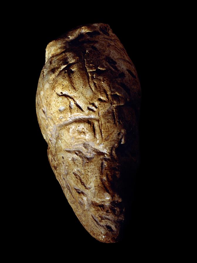 Venus of Dolni Vestonice, Stone Age Photograph by Science Photo Library ...